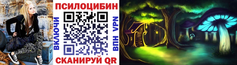 Псилоцибиновые грибы Magic Shrooms где найти Абакан